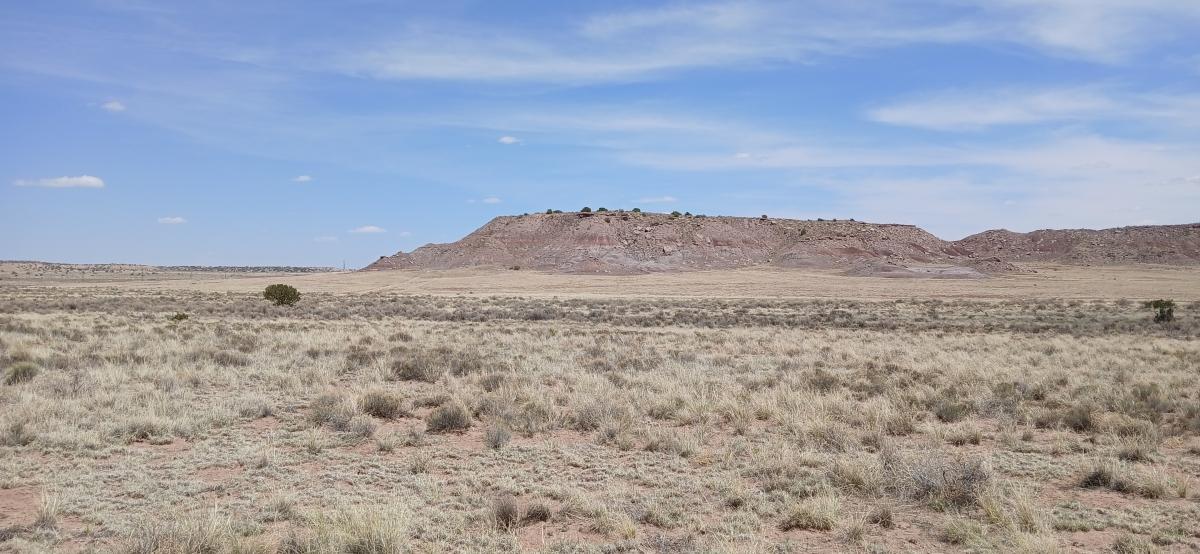 1.58 Acres for Sale in Chambers, Arizona