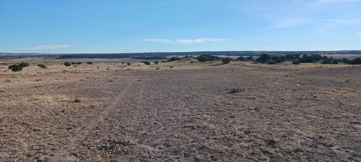 1.01 Acres for Sale in Sanders, Arizona