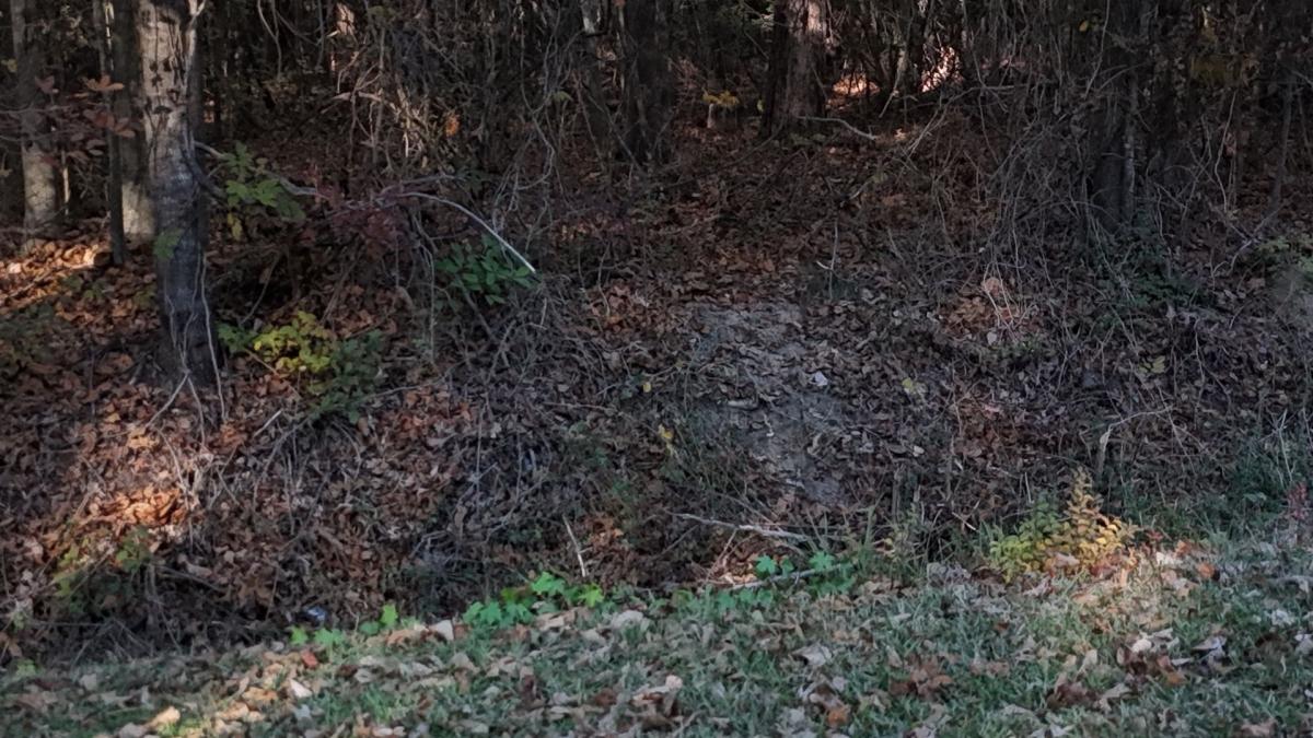 4.48 Acres for Sale in Lake View, South Carolina