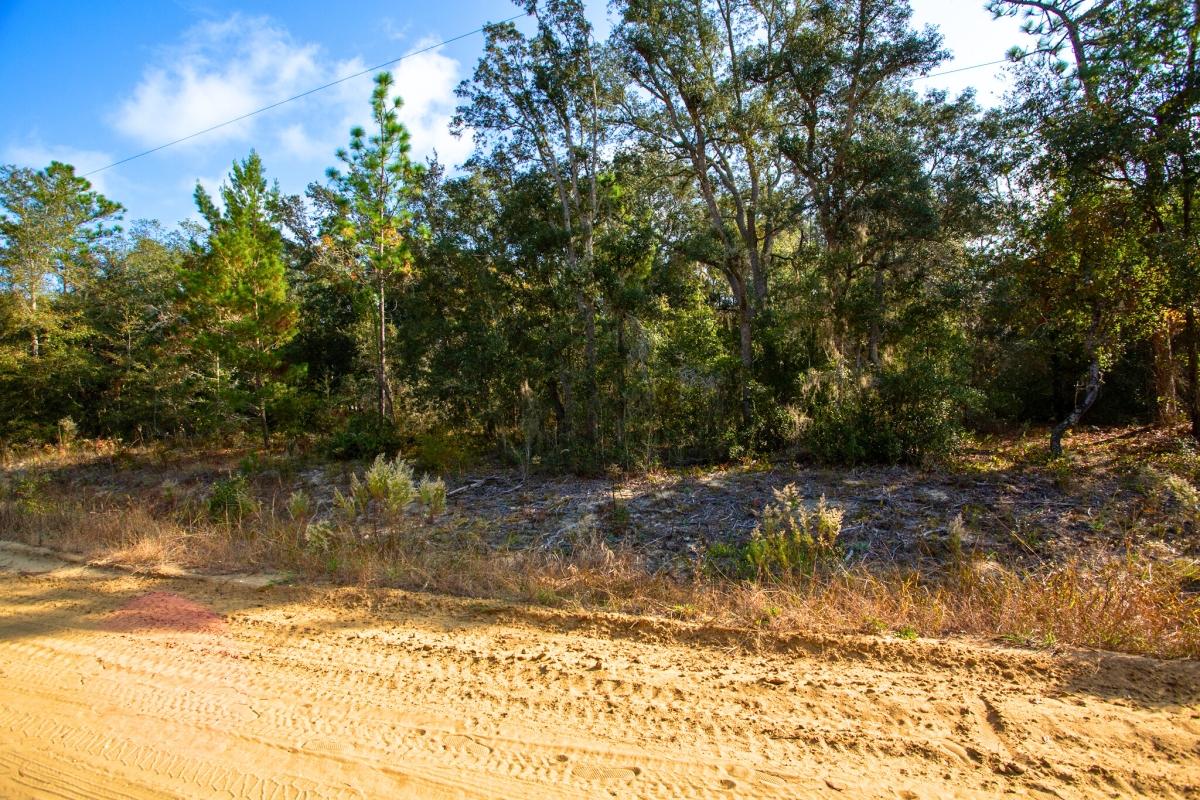 0.22 Acres for Sale in Interlachen, Florida