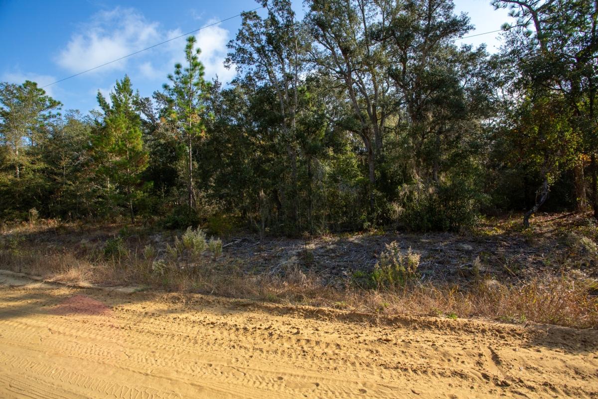 0.22 Acres for Sale in Interlachen, Florida