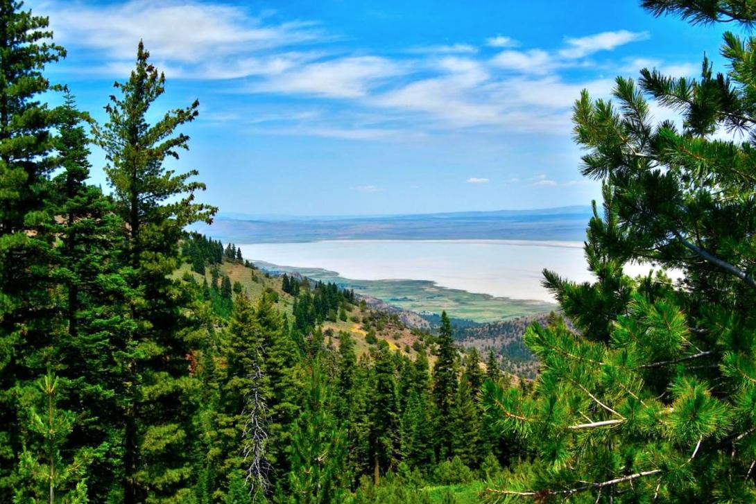 0.98 Acres for Sale in California Pines, California