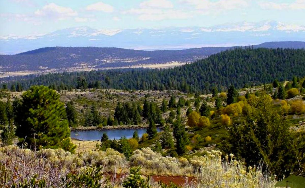 0.9 Acres for Sale in California Pines, California