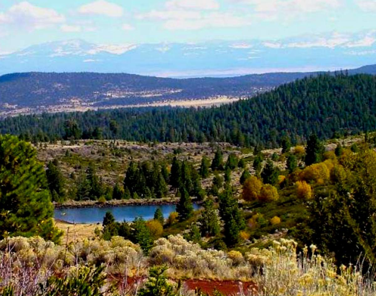 0.97 Acres for Sale in Alturas, California