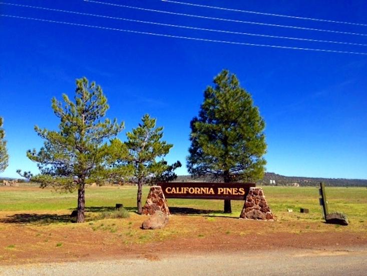 0.91 Acres for Sale in Alturas, California
