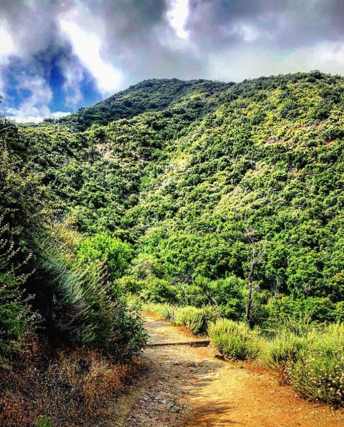 0.93 Acres for Sale in Alturas, California