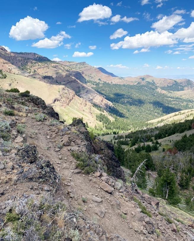 0.98 Acres for Sale in California Pines, California