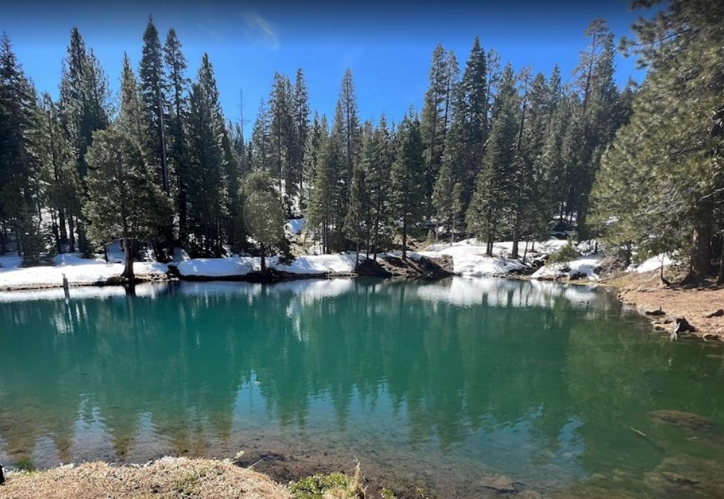 0.9 Acres for Sale in California Pines, California