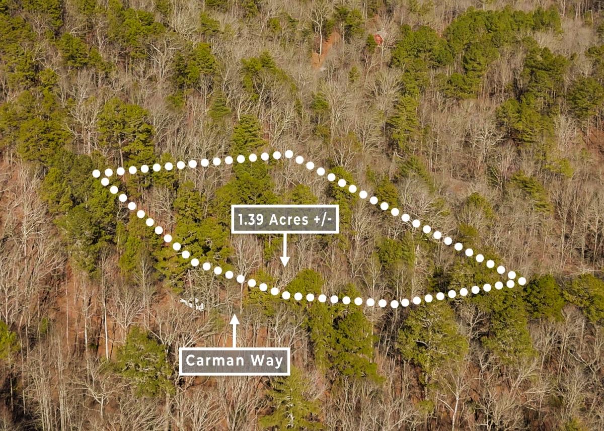 1.39 Acres for Sale in Ranger, Georgia