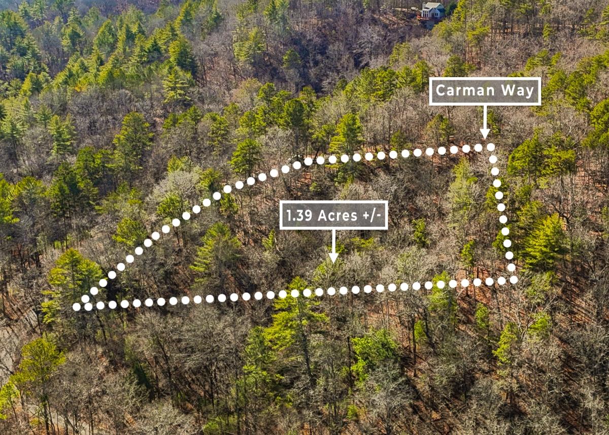 1.39 Acres for Sale in Ranger, Georgia