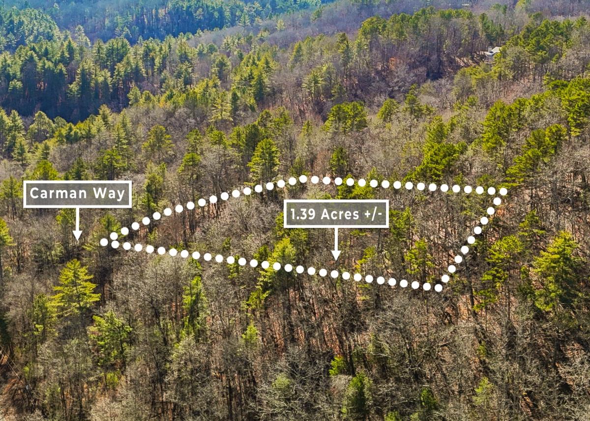 1.39 Acres for Sale in Ranger, Georgia