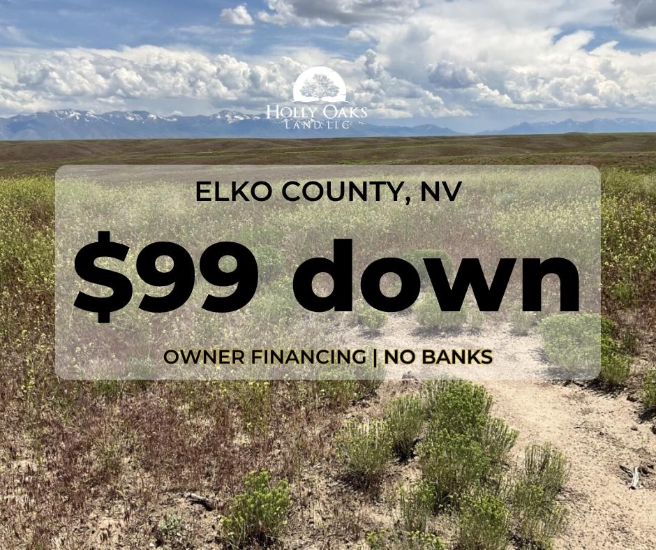40 Acres for Sale in Elko, Nevada