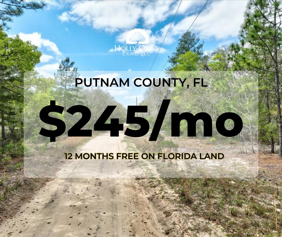 0.4 Acres for Sale in Interlachen, Florida