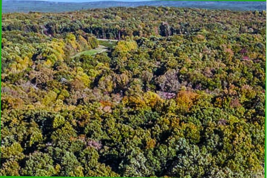 13 Acres for Sale in Spring City, Tennessee