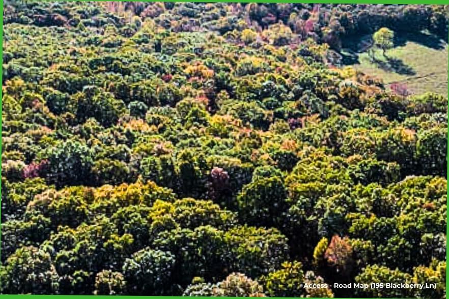 13 Acres for Sale in Spring City, Tennessee