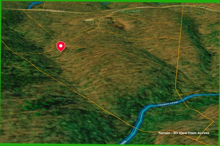 13 Acres for Sale in Spring City, Tennessee