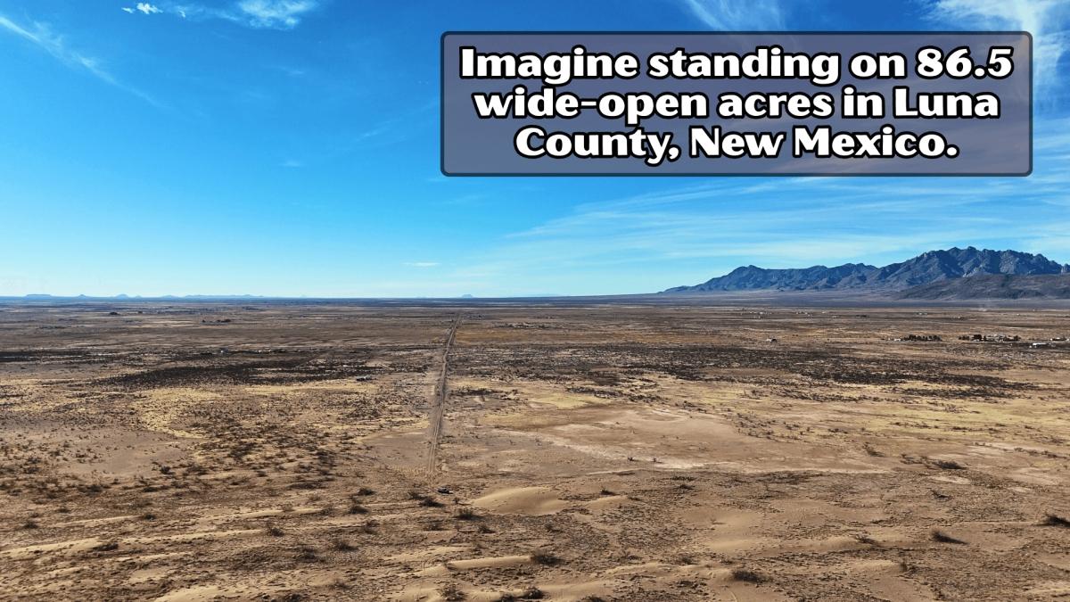 86.5 Acres for Sale in Ventura, New Mexico