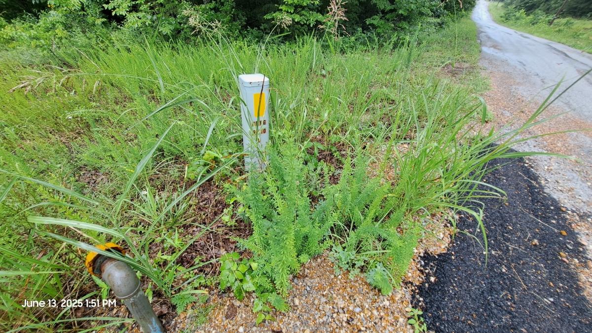 0.8 Acres for Sale in Cherokee Village, Arkansas