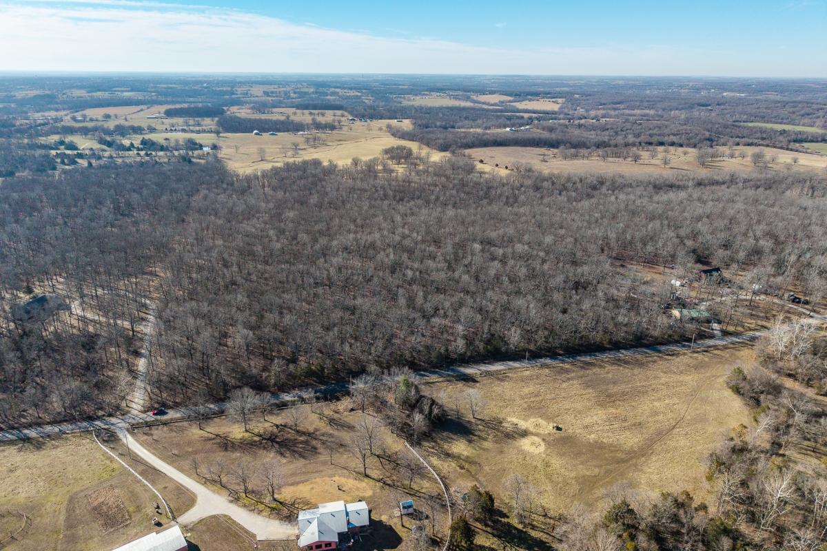 19.98 Acres for Sale in Buffalo, Missouri