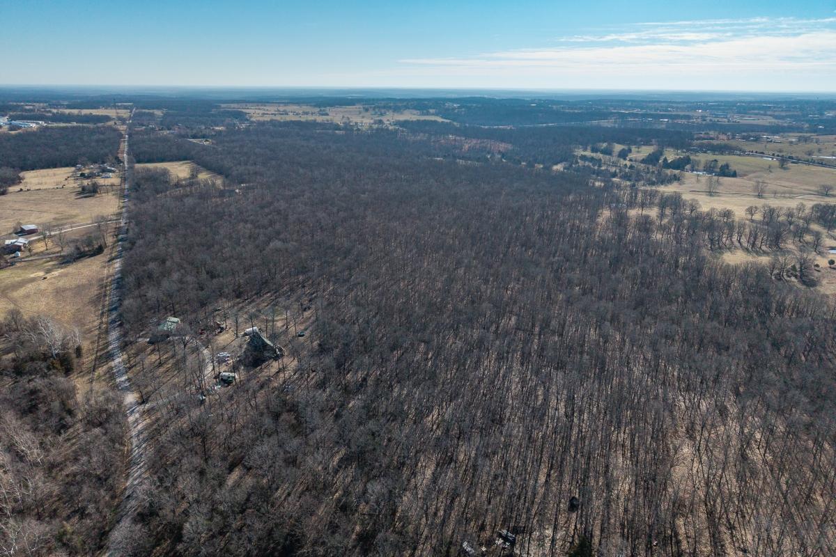 19.98 Acres for Sale in Buffalo, Missouri