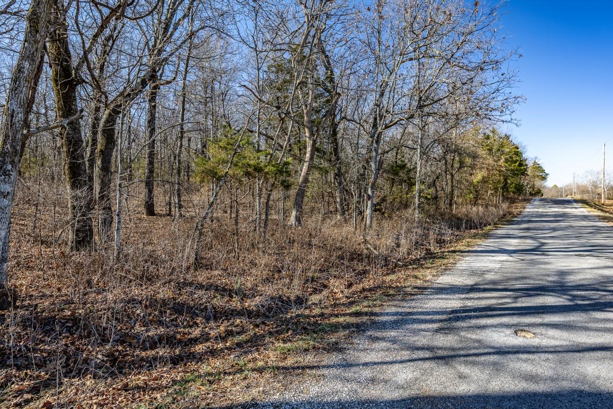 19.98 Acres for Sale in Buffalo, Missouri