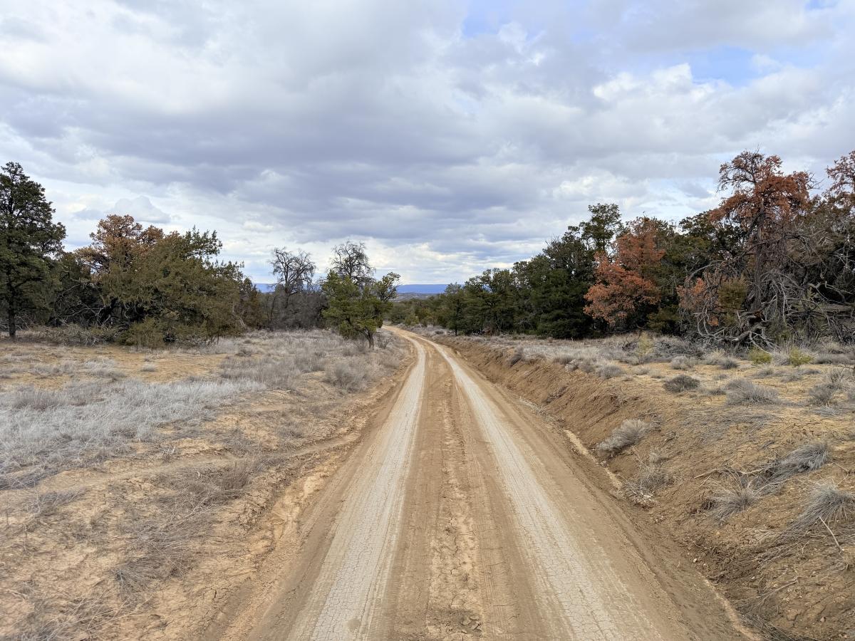 3.7 Acres for Sale in Pinehill, New Mexico