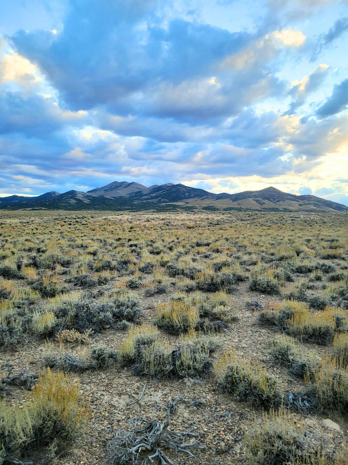 10 Acres for Sale in Montello, Nevada