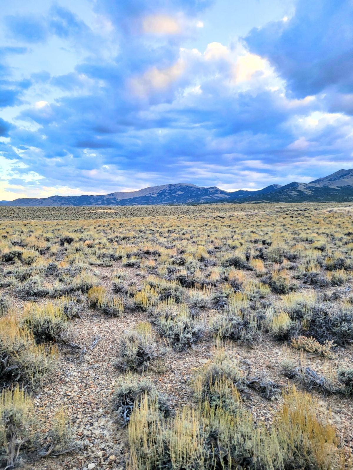 10 Acres for Sale in Montello, Nevada