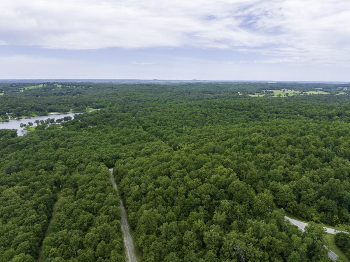 0.51 Acres for Sale in Horseshoe Bend, Arkansas