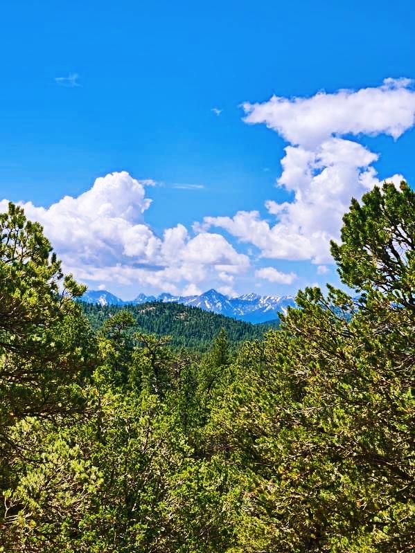 4.81 Acres for Sale in Cotopaxi, Colorado