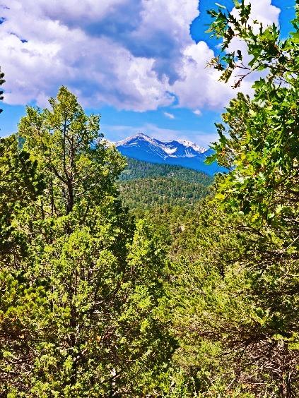 4.81 Acres for Sale in Cotopaxi, Colorado