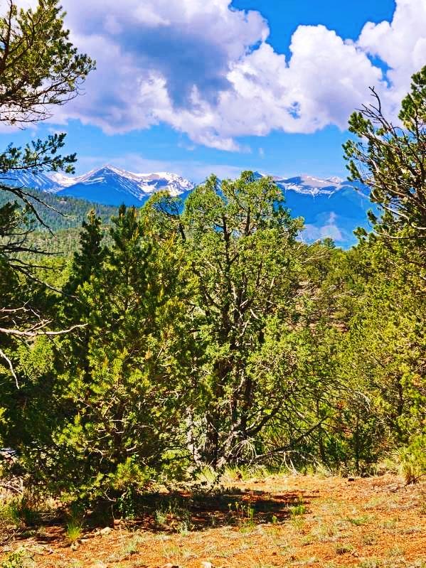 4.81 Acres for Sale in Cotopaxi, Colorado