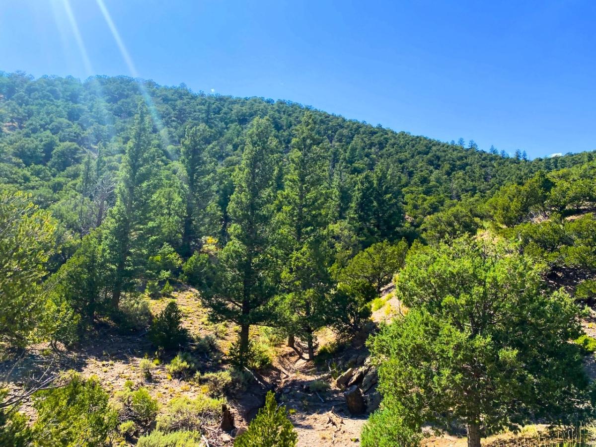 5.12 Acres for Sale in Fort Garland, Colorado