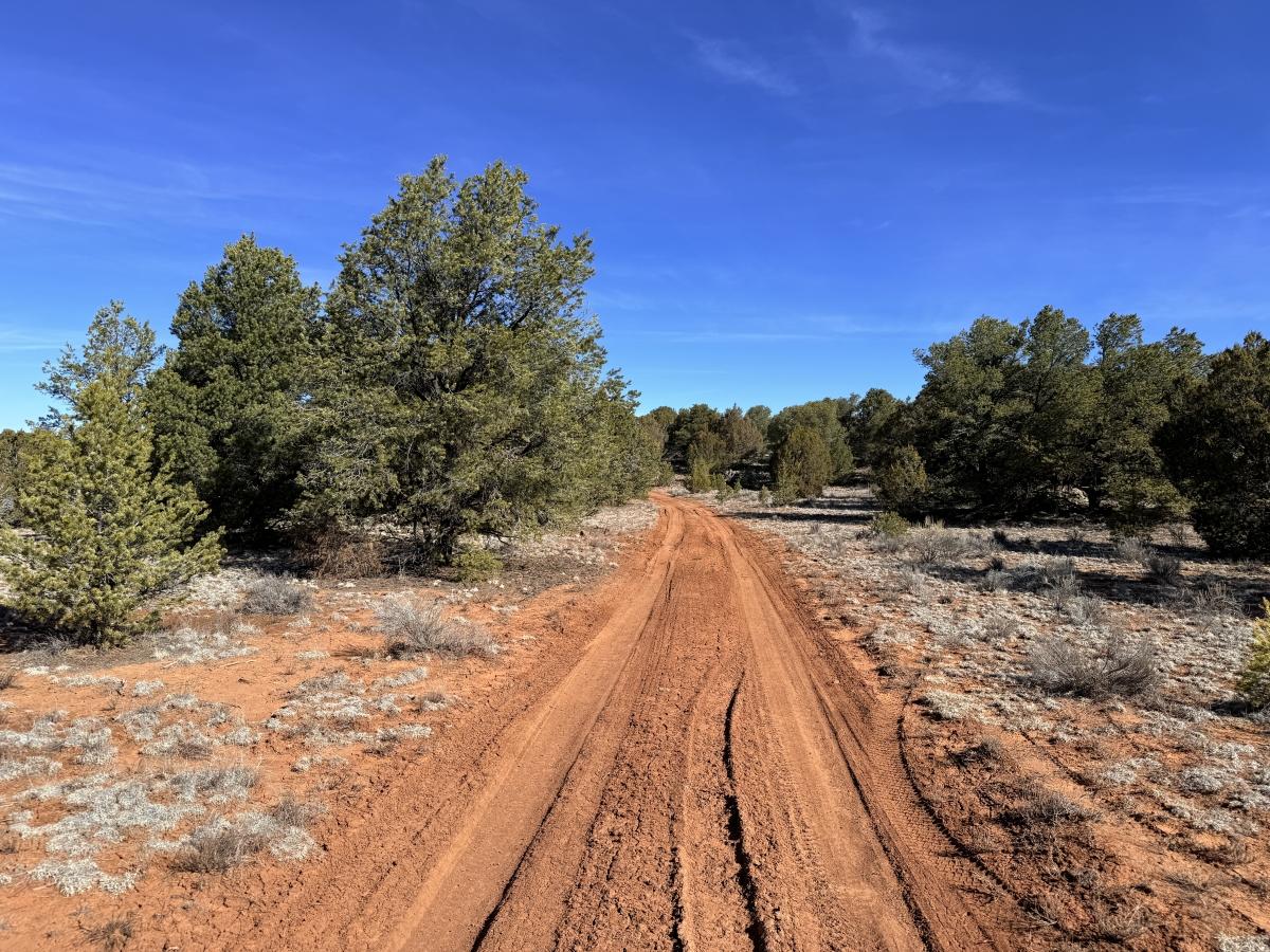 6.3 Acres for Sale in El Morro Valley, New Mexico