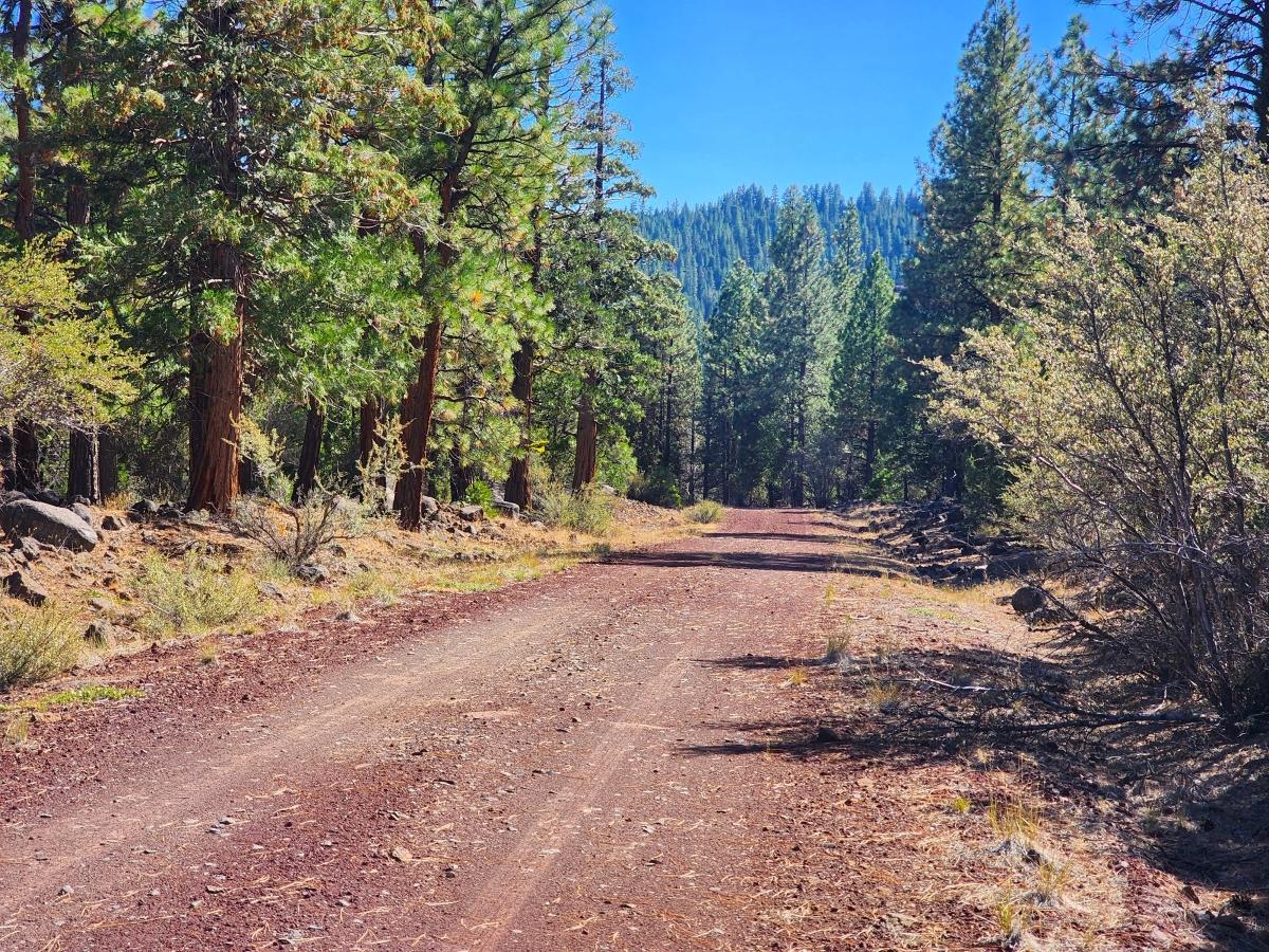2.4 Acres for Sale in California Pines, California