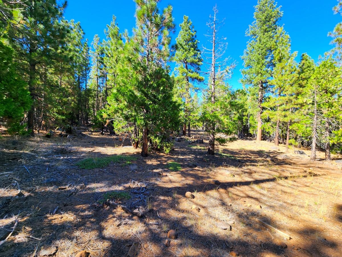 2.4 Acres for Sale in California Pines, California