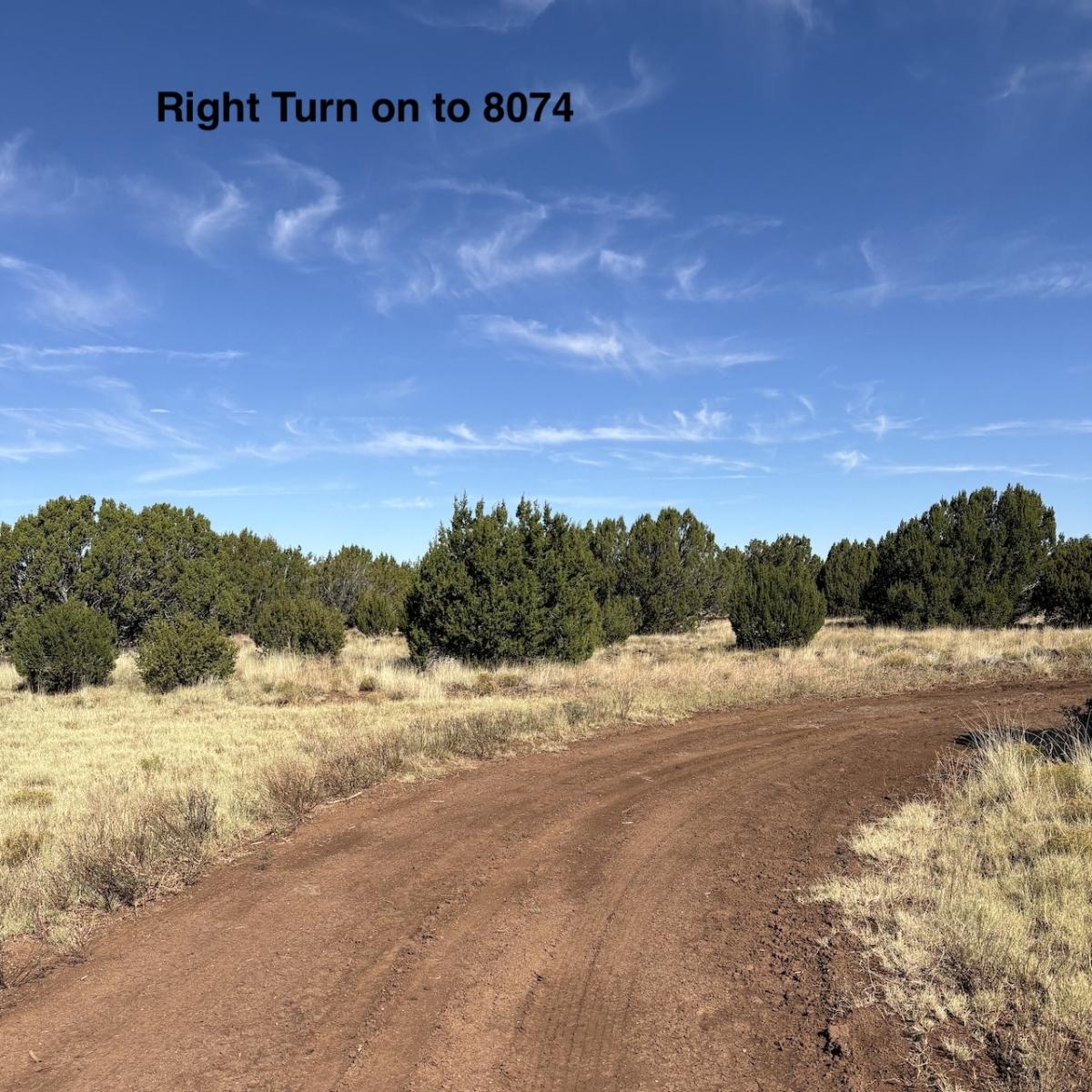 18.24 Acres for Sale in Concho, Arizona
