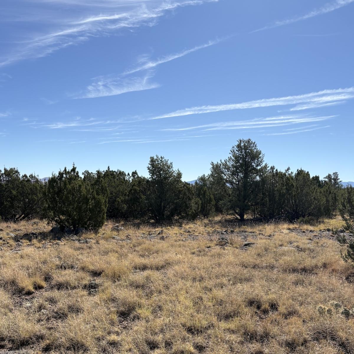 18.24 Acres for Sale in Concho, Arizona
