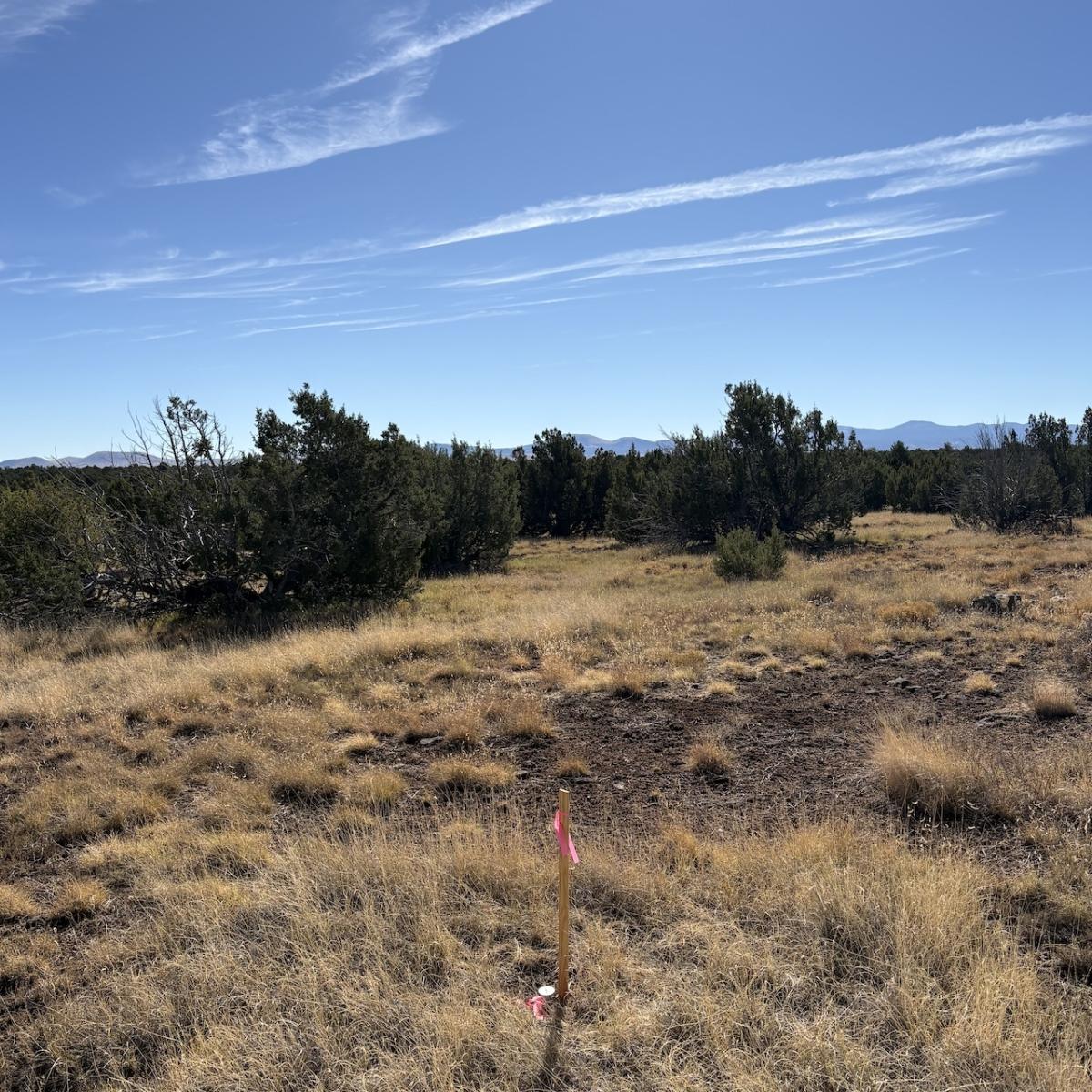 18.24 Acres for Sale in Concho, Arizona