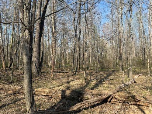 0.24 Acres for Sale in Murray, Kentucky