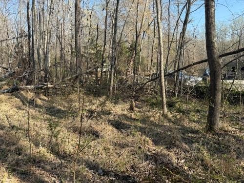 0.24 Acres for Sale in Murray, Kentucky