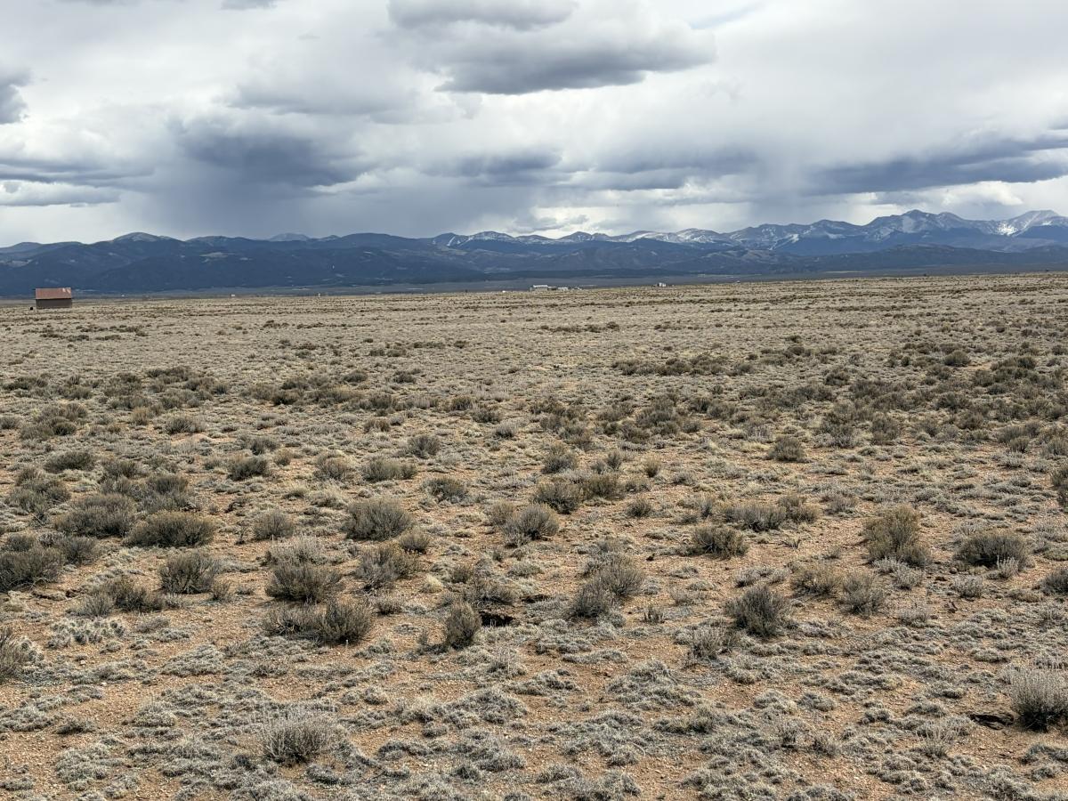4.9 Acres for Sale in Blanca, Colorado