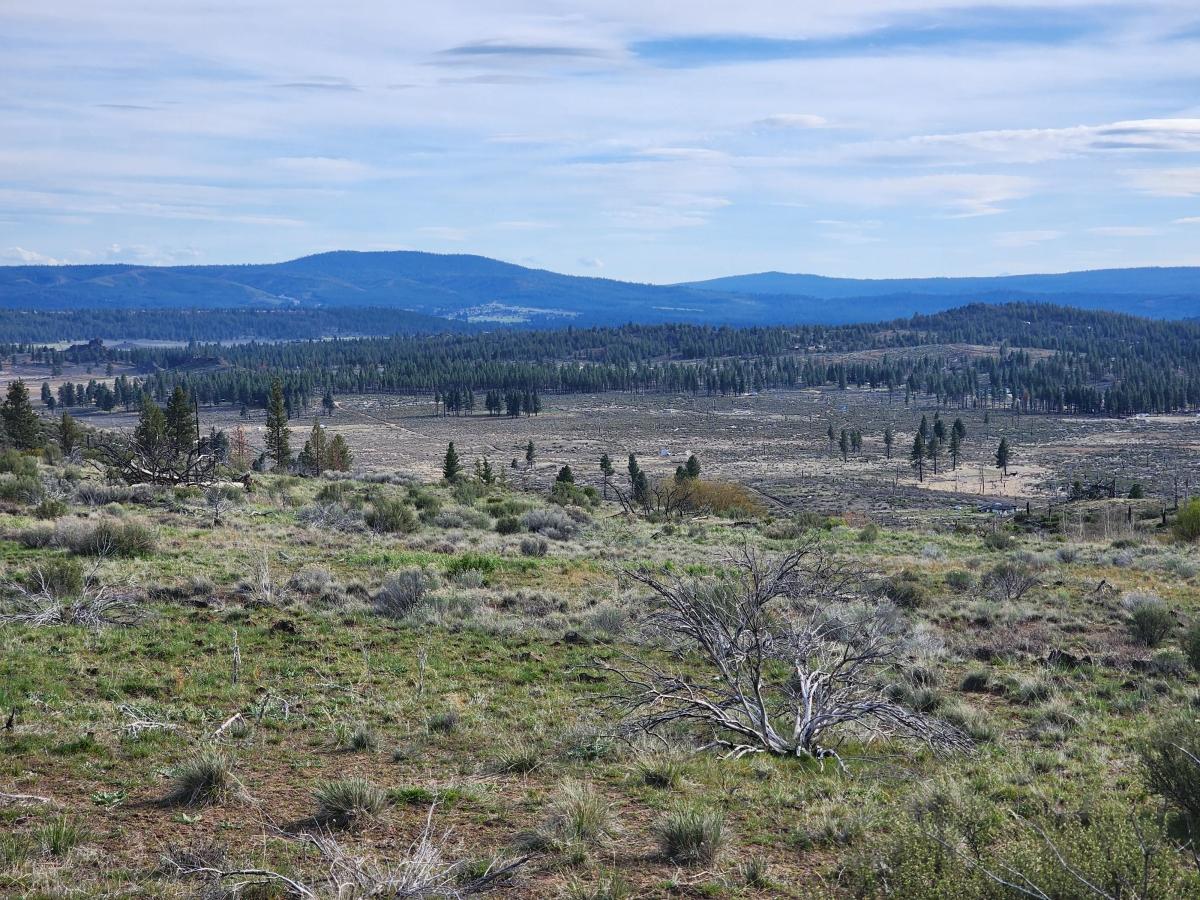 2.4 Acres for Sale in Sprague River, Oregon