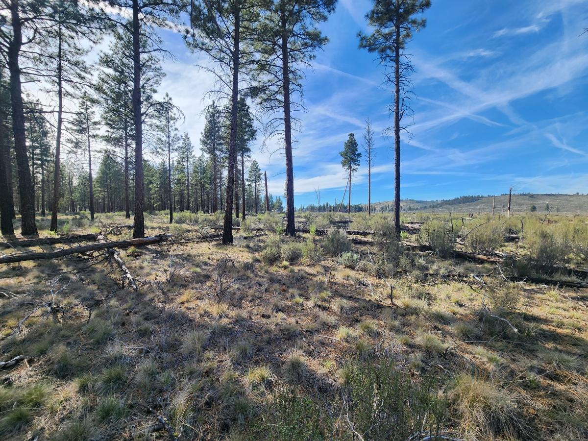 2.45 Acres for Sale in Sprague River, Oregon