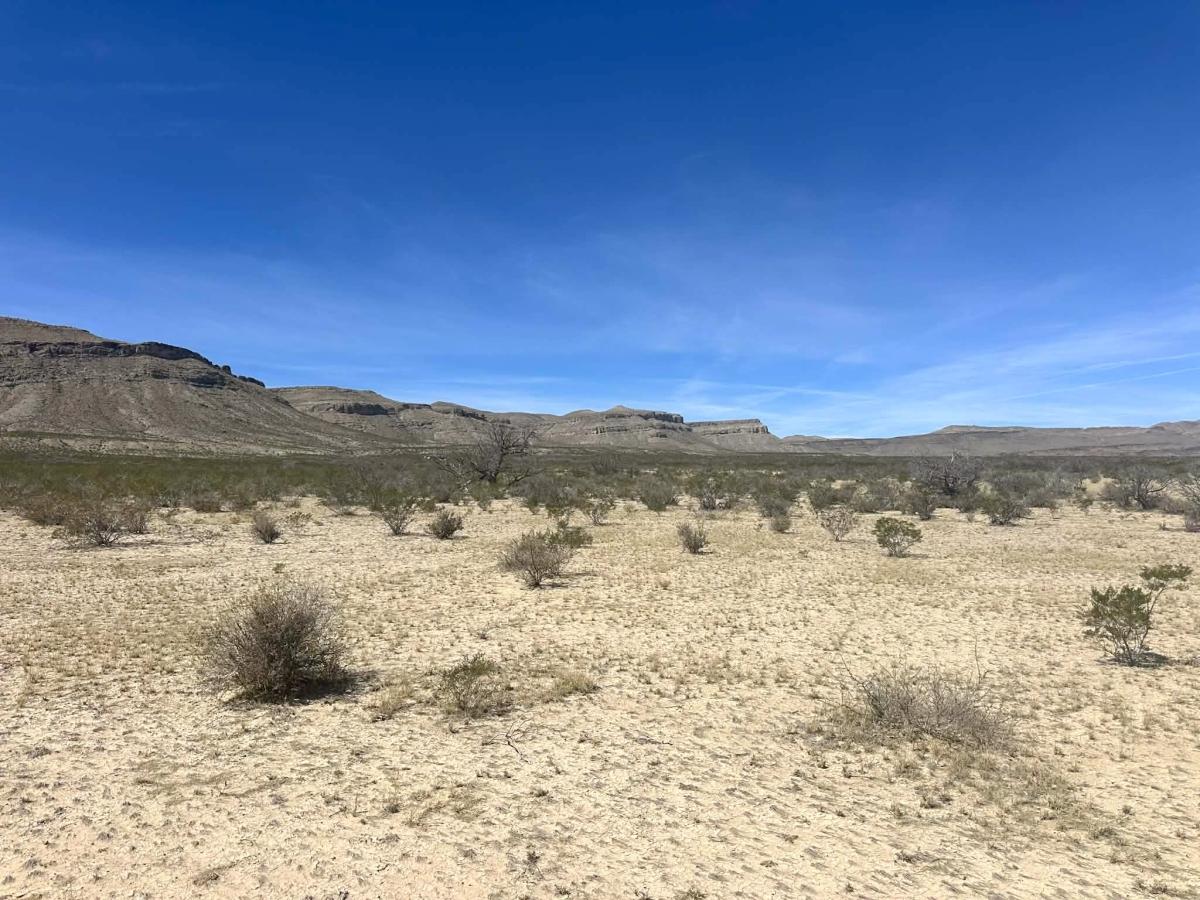 10.00 Acres for Sale in Texas, Texas
