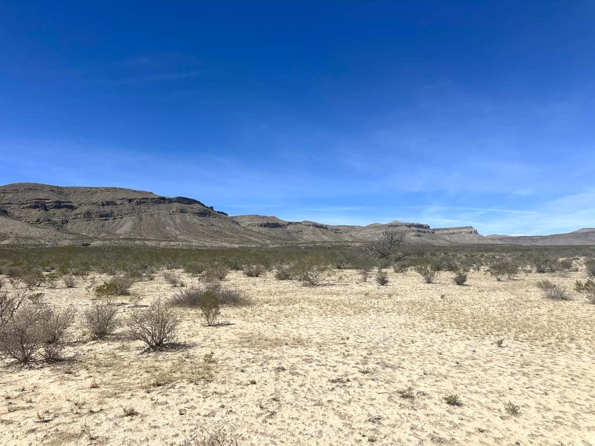 10.00 Acres for Sale in Texas, Texas