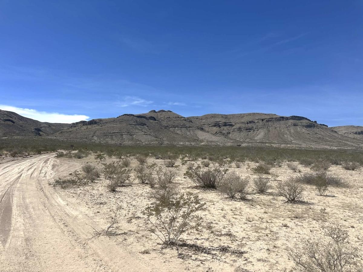 10.00 Acres for Sale in Texas, Texas
