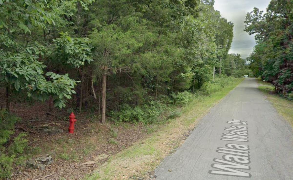 0.31 Acres for Sale in Cherokee Village, Arkansas