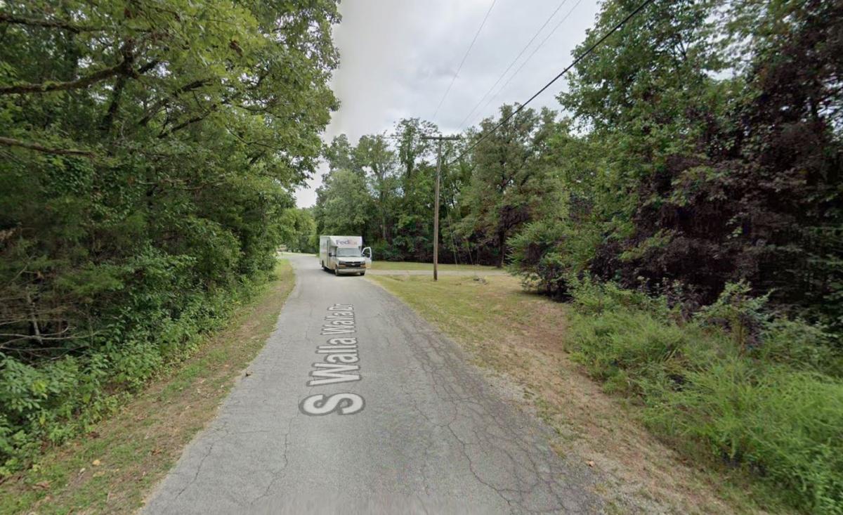 0.31 Acres for Sale in Cherokee Village, Arkansas
