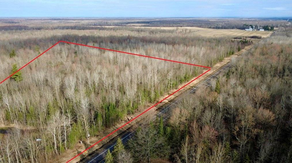 80 Acres for Sale in Sheldon, Wisconsin